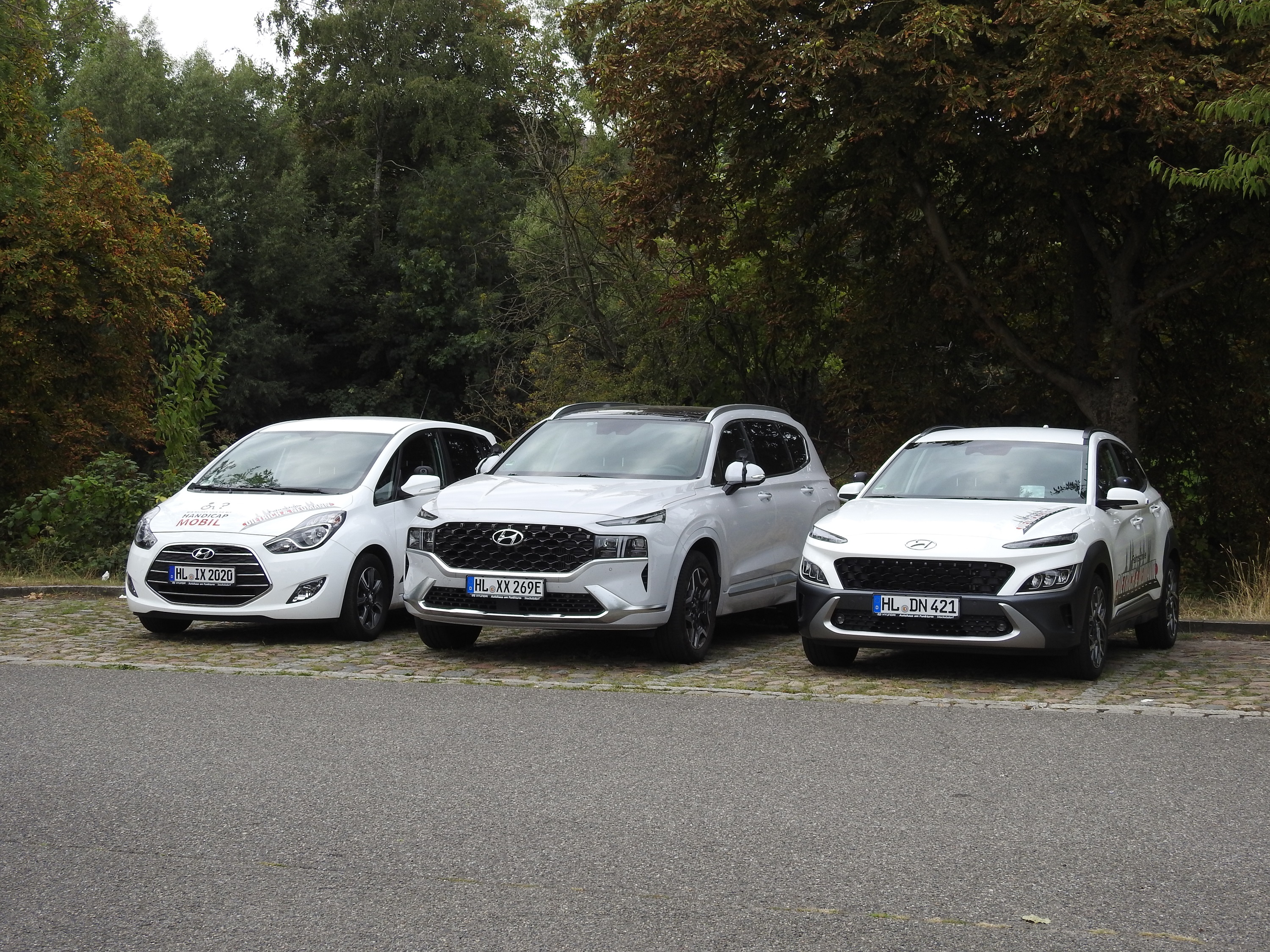 Begleitetes Fahren mit 17