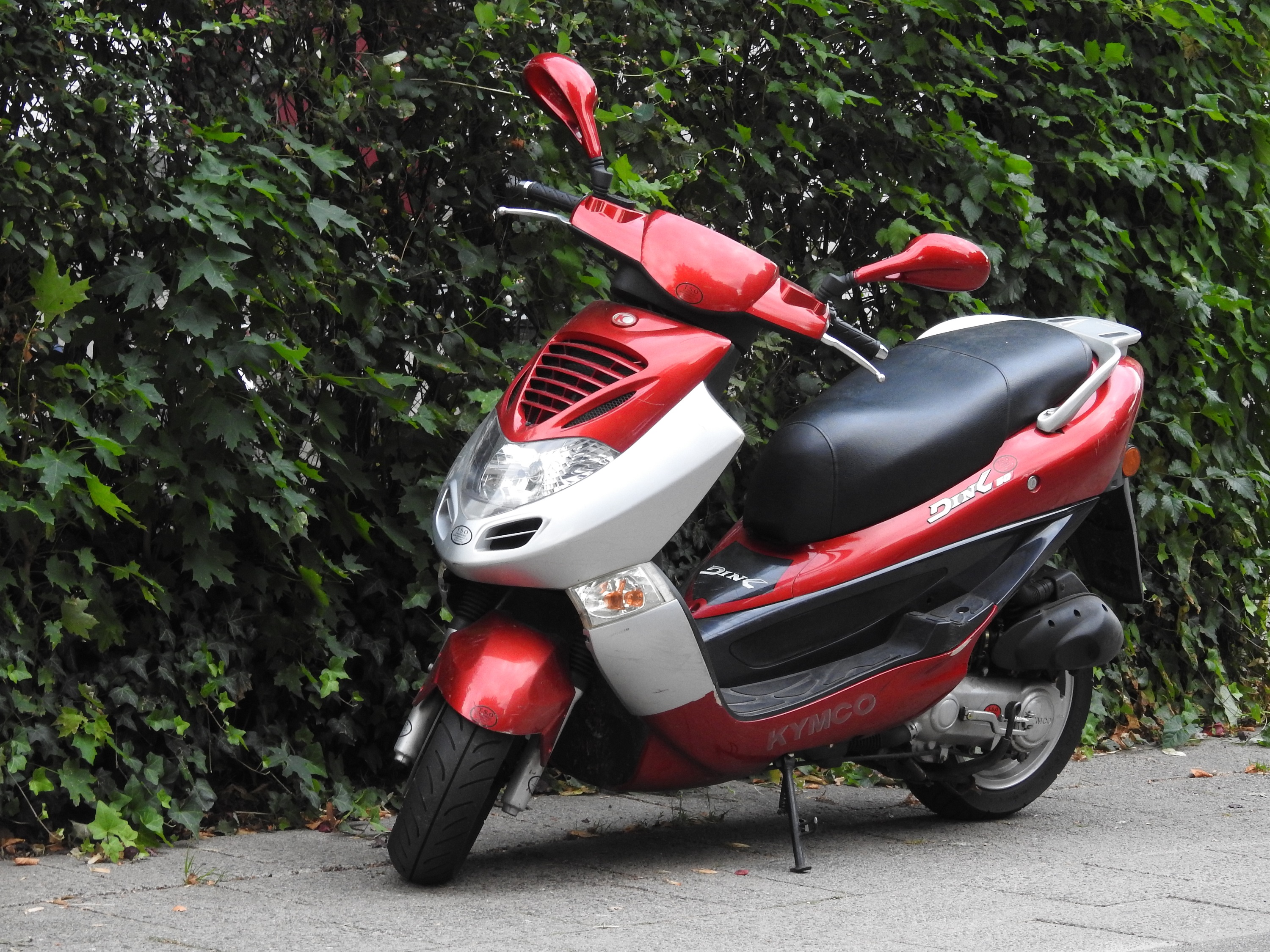Führerschein Klasse AM
